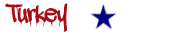 turkey